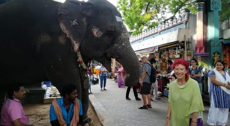 sabiaspalavras.com - Aos 84 anos, vovó decide viajar pelo mundo com sua mochila