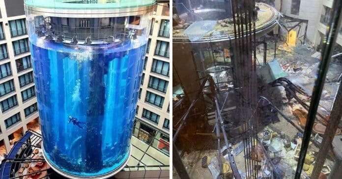 Aquário gigante explode em Berlim com 1.500 peixes dentro – o que aconteceu?