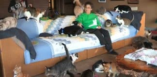 Conheça como é a casa de uma mulher que vive com nada menos do que 1.000 gatos