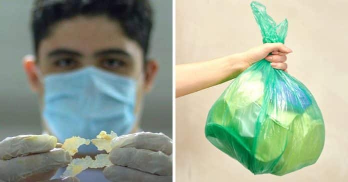 Estudante cearense desenvolve plástico biodegradável a partir de batatas: alternativa para sacolas de supermercado