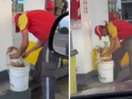 Frentista dá banho em cachorros de rua que ficam no seu posto