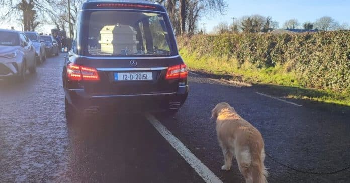 LEALDADE: Cachorrinha caminha atrás do caixão da dona em homenagem comovente