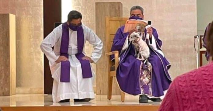 Padre celebra missa com sua cachorrinha no colo para não a deixar sozinha