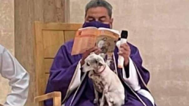 sabiaspalavras.com - Padre celebra missa com sua cachorrinha no colo para não a deixar sozinha