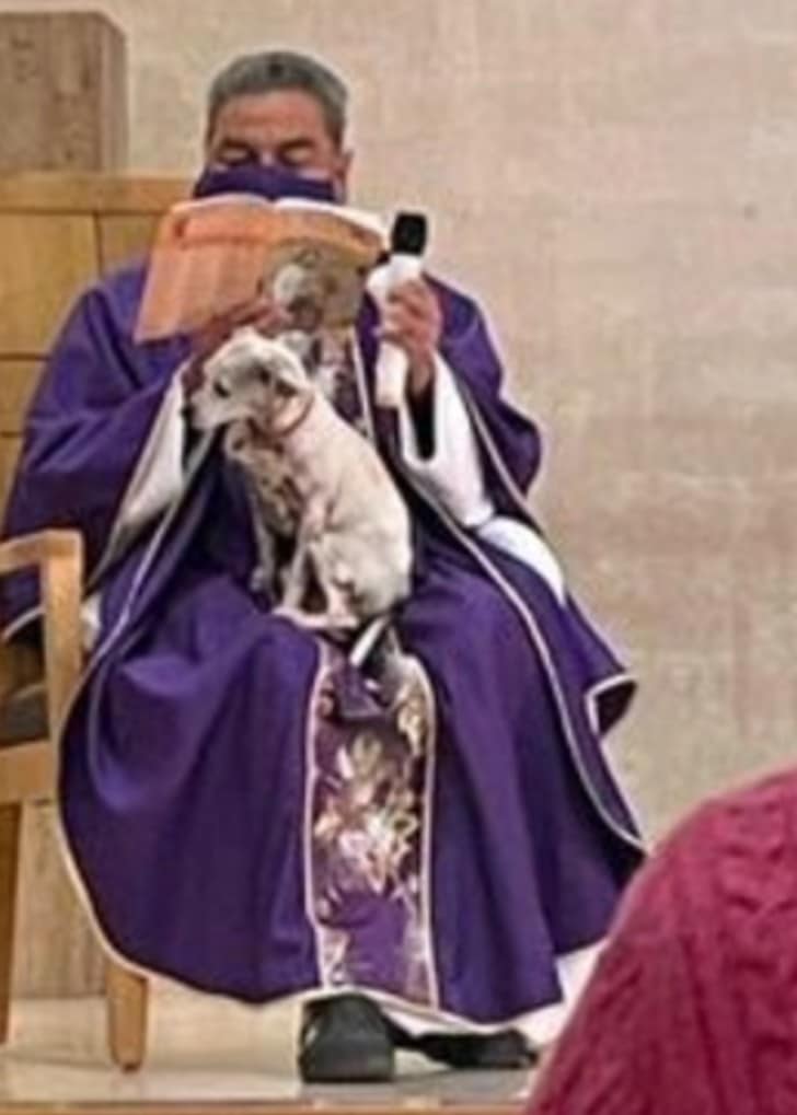 sabiaspalavras.com - Padre celebra missa com sua cachorrinha no colo para não a deixar sozinha