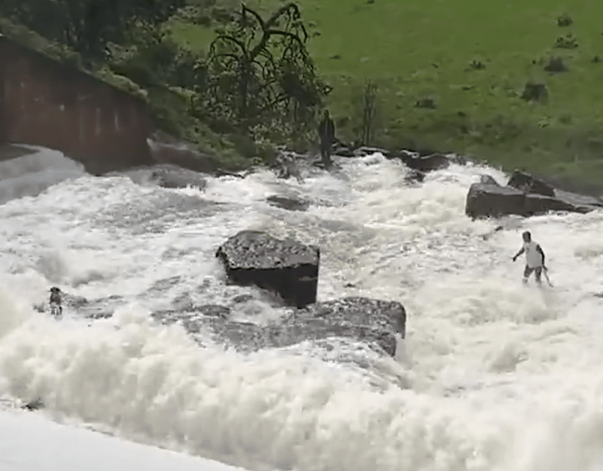 sabiaspalavras.com - V&Iacute;DEO: Jardineiro heroico salva c&atilde;o preso em correnteza com risco de vida