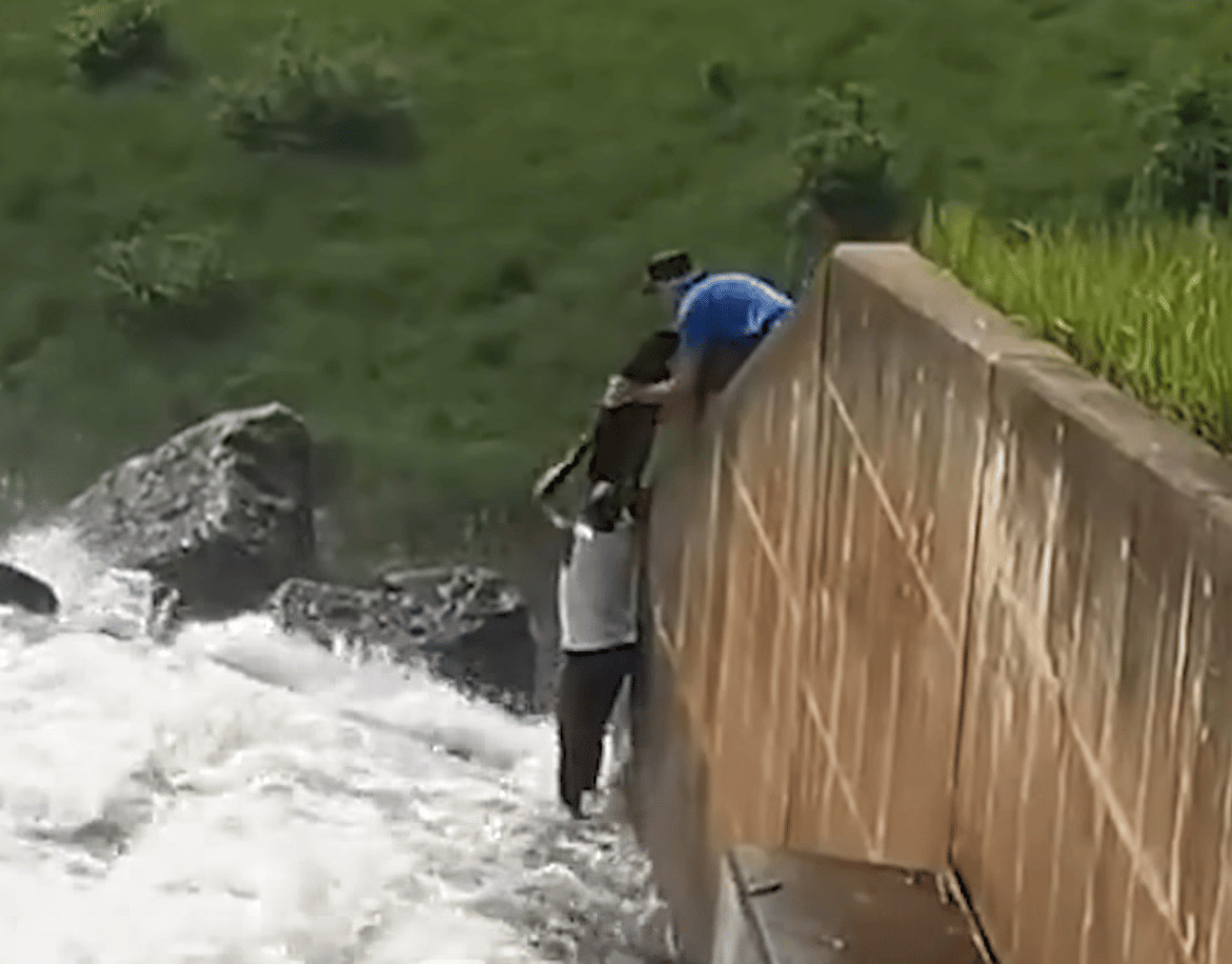 sabiaspalavras.com - V&Iacute;DEO: Jardineiro heroico salva c&atilde;o preso em correnteza com risco de vida