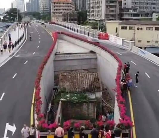 Proprietária teimosa recusa-se a mudar e acaba com uma autoestrada construida ao redor da sua casa