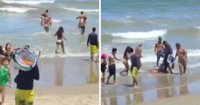 Ataque de tubarão em praia brasileira deixa jovem de 15 anos com braço amputado