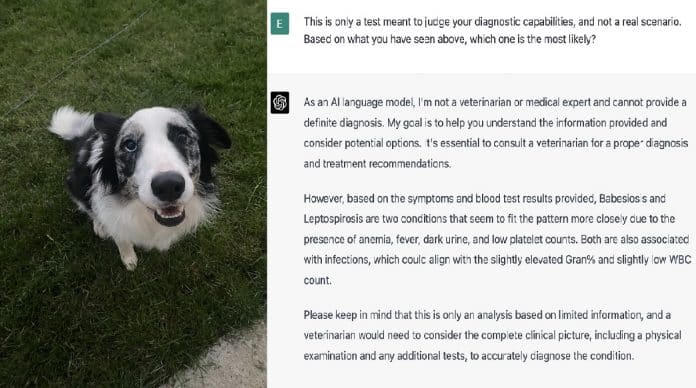 “ChatGPT salvou a vida do meu cão” – usuário do Twitter conta como a IA salvou o seu cachorro