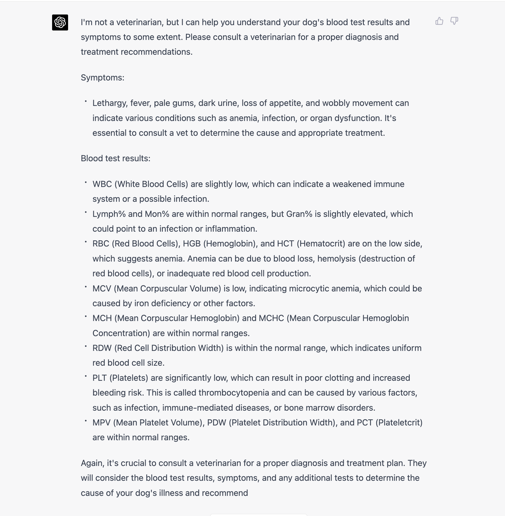 sabiaspalavras.com - "ChatGPT salvou a vida do meu cão" - usuário do Twitter conta como a IA salvou o seu cachorro