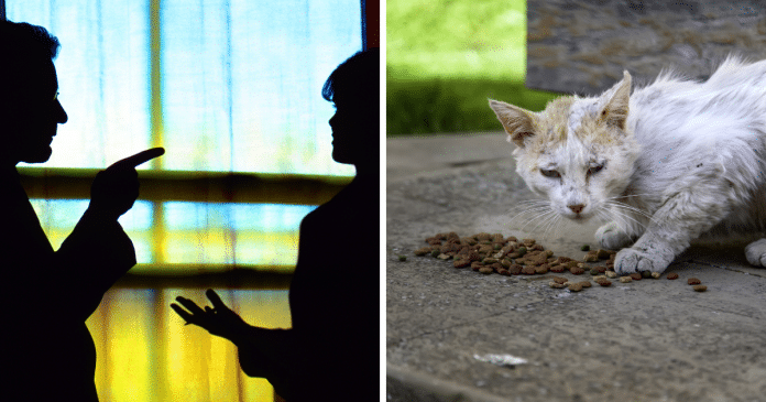 Homem expulsa namorada de casa porque ela pôs o gato dele fora de casa