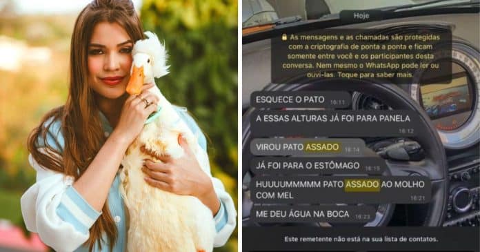 Influencer que procura pato desaparecido mostra mensagens de ameaças e ofensas que tem recebido