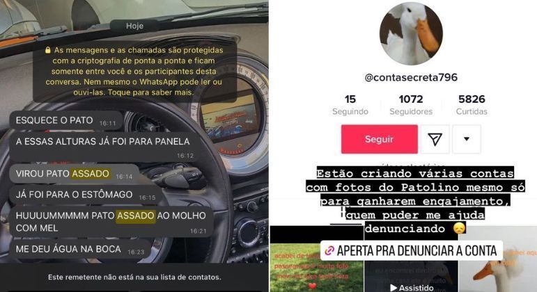 sabiaspalavras.com - Influencer que procura pato desaparecido mostra mensagens de ameaças e ofensas que tem recebido