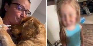Mãe se recusa a expulsar cachorro da família após ele morder a filha: “Foi legítima defesa”