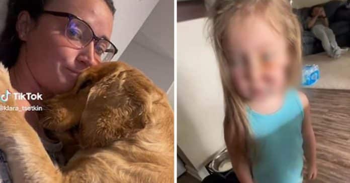 Mãe se recusa a expulsar cachorro da família após ele morder a filha: “Foi legítima defesa”