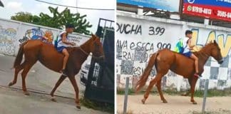 Vídeo de menino de 11 anos indo para escola a cavalo viraliza: ‘Pneu da bicicleta furou’