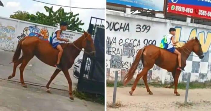 Vídeo de menino de 11 anos indo para escola a cavalo viraliza: ‘Pneu da bicicleta furou’