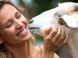 Biólogo expõe contradições de Luisa Mell e a chama de “farsante”