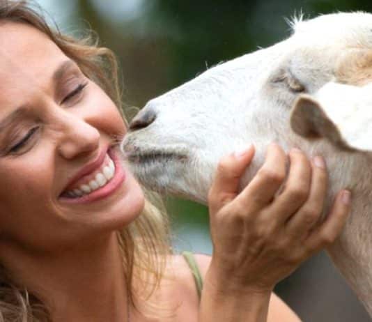 Biólogo expõe contradições de Luisa Mell e a chama de “farsante”