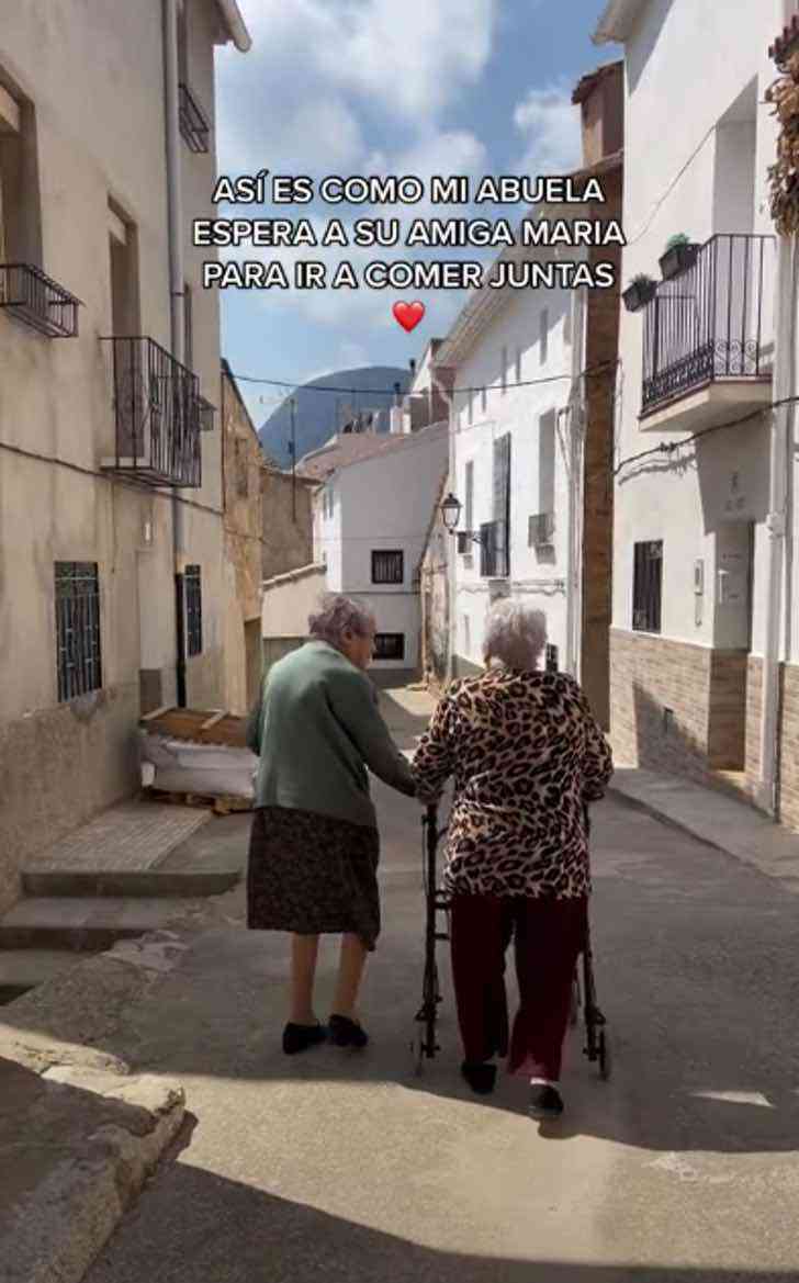 sabiaspalavras.com - “É disso que se trata a vida”: avó espera todos os dias a melhor amiga para comerem juntas