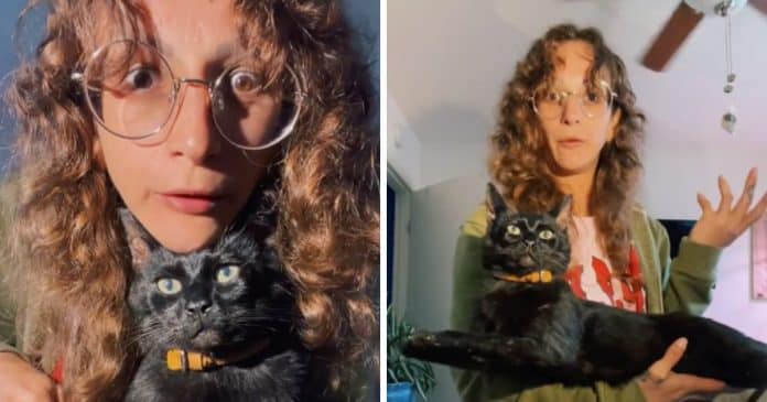 garota-pagou-cerca-de-r15-mil-reais-para-congelar-gato-morto Jovem choca ao mostrar que pagou cerca de R$15 mil reais para congelar seu gato morto