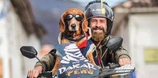 Homem adota cão de rua e juntos já viajaram 15 países em uma moto