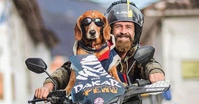 Homem adota cão de rua e juntos já viajaram 15 países em uma moto