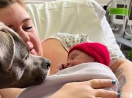 Hospital permite a presença de cão na sala de parto: trouxe apoio e conforto