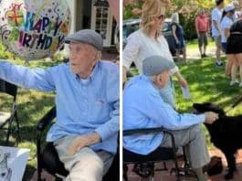 Idoso comemora aniversário de 100 anos rodeado por mais de 200 cachorros