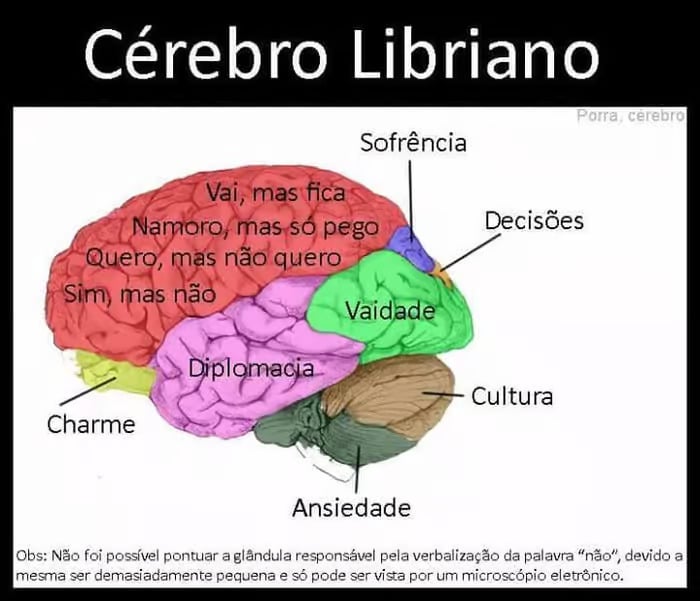 sabiaspalavras.com - Ilustrações mostram como seria divido o cérebro de cada signo