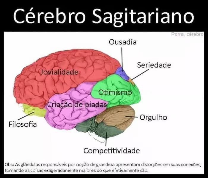 sabiaspalavras.com - Ilustrações mostram como seria divido o cérebro de cada signo