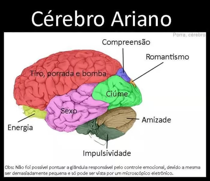 sabiaspalavras.com - Ilustrações mostram como seria divido o cérebro de cada signo