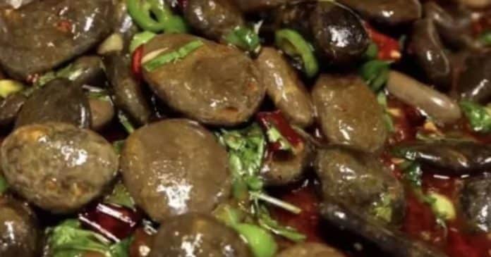 Pedras Fritas: A última tendência da comida de rua na China