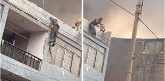 VÍDEO: Sem-abrigo arrisca vida para salvar 25 cães em prédio em chamas