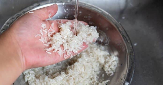 Você precisa lavar o arroz antes de cozinhar? Aqui está o que a ciência diz