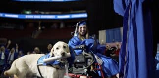 Cão de serviço que acompanhou universitária com deficiências em aulas recebe diploma