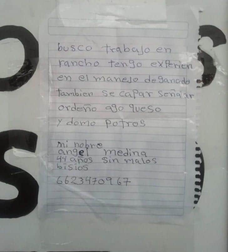 sabiaspalavras.com - Homem angustiado recebe 30 ofertas de emprego após escrever currículo à mão