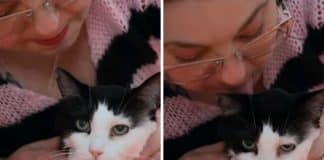 Mulher surpreende ao revelar que tem o bizarro vício de lamber gatos