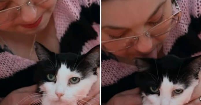 Mulher surpreende ao revelar que tem o bizarro vício de lamber gatos