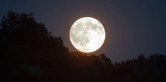 Primeira Superlua do ano é esta noite: a lua parecerá 7% maior e mais brilhante