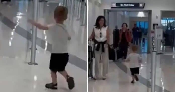 VÍDEO: Criança reencontra avô no aeroporto e emociona a todos ao gritar: “Estou indo, papa!”