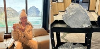 Ativistas criticam Martha Stewart após usar ‘um pequeno iceberg’ em sua bebida