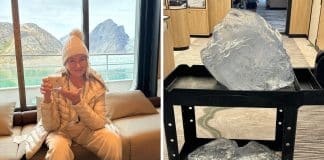 Ativistas criticam Martha Stewart após usar ‘um pequeno iceberg’ em sua bebida