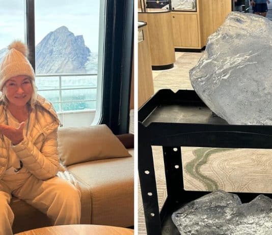 Ativistas criticam Martha Stewart após usar ‘um pequeno iceberg’ em sua bebida