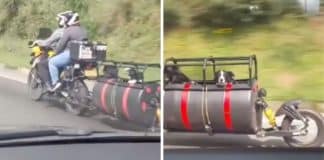 Casal inova ao adaptar moto para viagens com seus cachorros