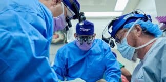 Cirurgiões comemoram: Paciente com rim de porco transplantado continua a funcionar há mais de um mês no corpo humano