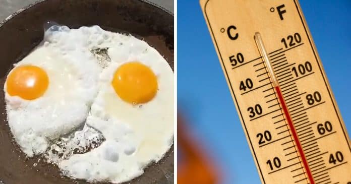 Mulher frita ovo na calçada após recorde de calor