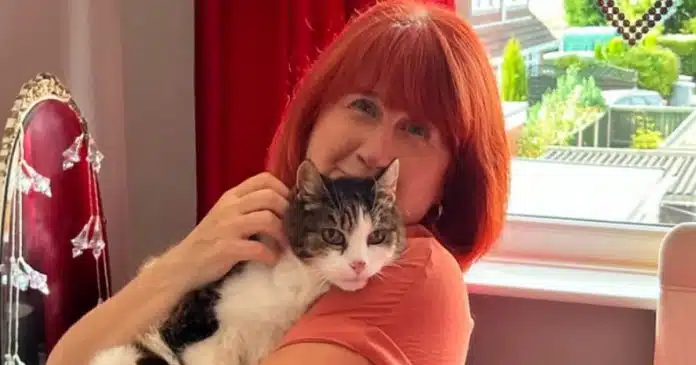 Gato desaparecido há 11 anos surpreendentemente retorna ao seu dono