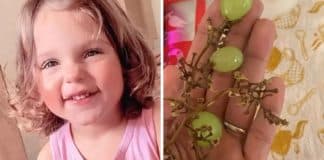 Menina de 3 anos falece após engasgar com uva: “Perigoso para crianças pequenas”